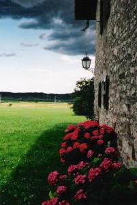 Arriva il temporale Villanova esterno con fiore